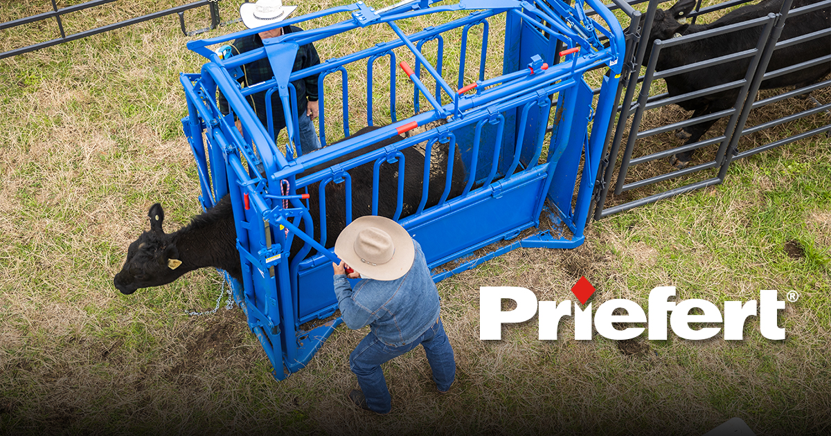 Priefert Cattle Ad 1.jpg